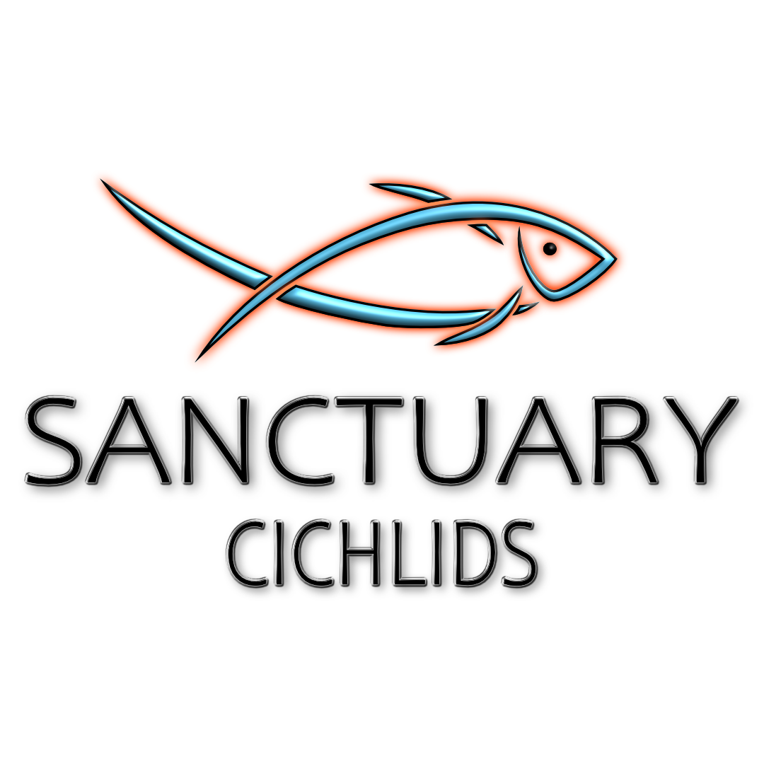 Sanctuary Cichlids